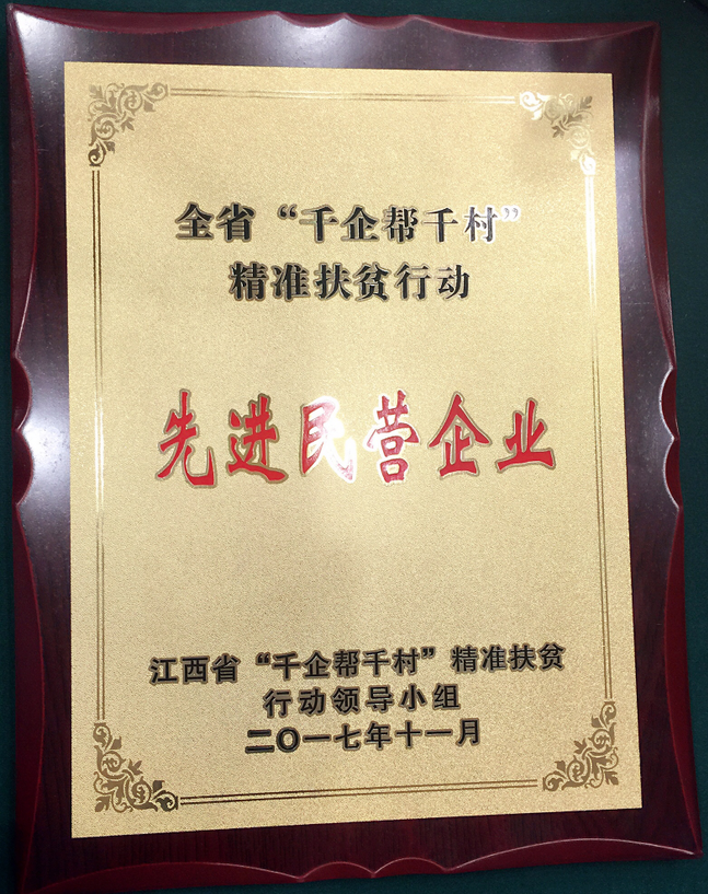 仁和集團喜獲江西省“千企幫千村”先進民營企業