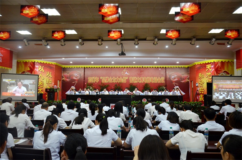 仁和集團召開2017年“品牌合力大會戰”營銷大賽電視電話會議 (1).jpg