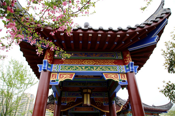 1522023709889098568.jpg 1IMG_3690.jpg