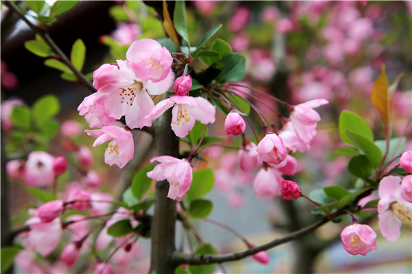 1522023750875025389.jpg 1IMG_3556.jpg